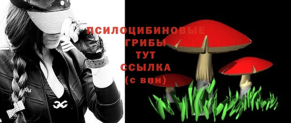 крисы Нея