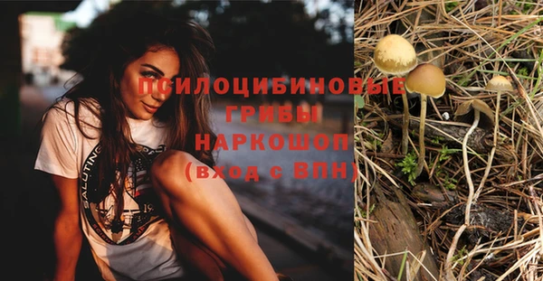 альфа пвп Нефтегорск