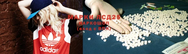 крисы Нея