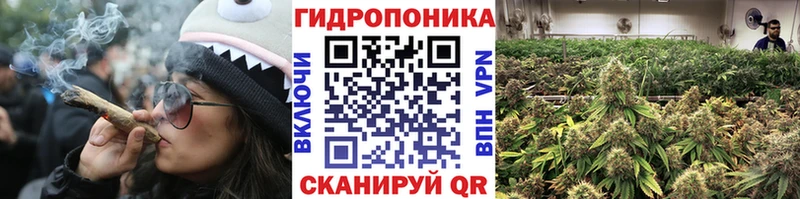 KRAKEN как войти  где найти   Чебаркуль  Шишки марихуана конопля 
